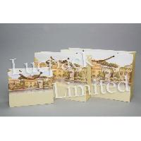 Knotted Handle Paper Bag
